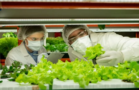 Fenntarthatóság az élelmiszer-ágazatban: egy lépés a jobb jövő felé