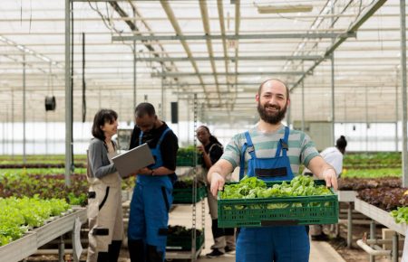 Zöldség- és gyümölcstermesztési munka