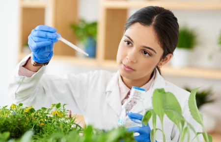 Hogyan segít a JobPoint a vállalatoknak minőségi tehetségeket találni az élelmiszeriparban?