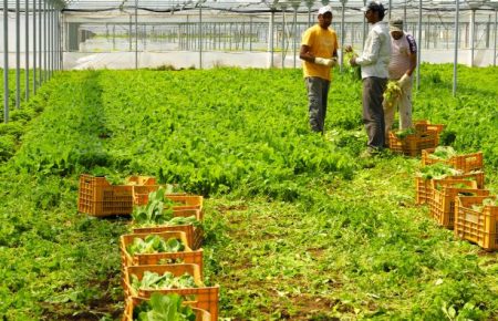 Új munkaerő-piaci lehetőségek - menedékkérők és nyílt munkaerő-felvétel