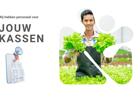 Hollandia zöld aranya: az üvegháztól a konyháig